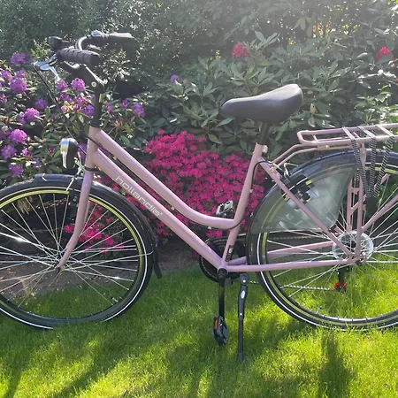 Kleines Glück Apartment *